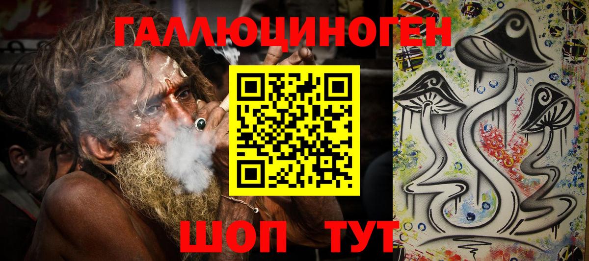 Псилоцибиновые грибы Cubensis Аша