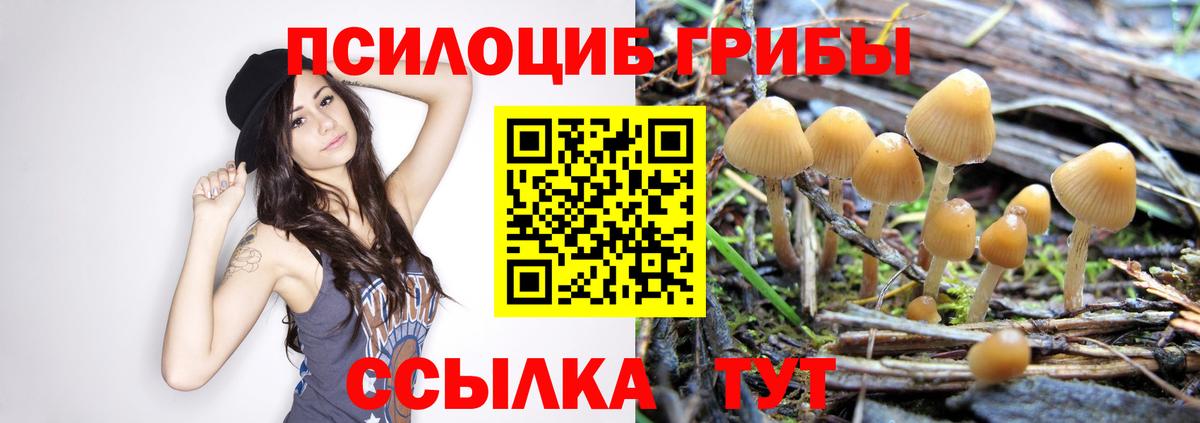Псилоцибиновые грибы мухоморы  Псилоцибиновые грибы Psilocybe  Вход с VPN  Аша 